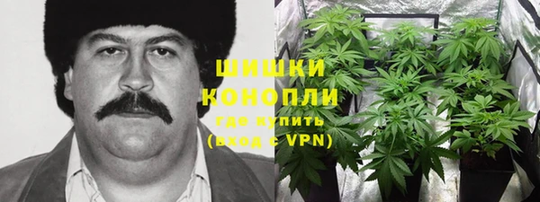 Альфа ПВП Бугульма