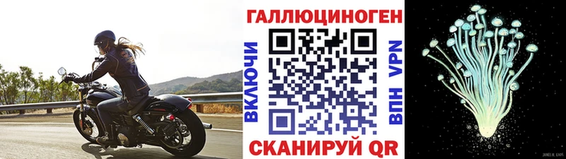 купить закладку  Галич  Галлюциногенные грибы мицелий 