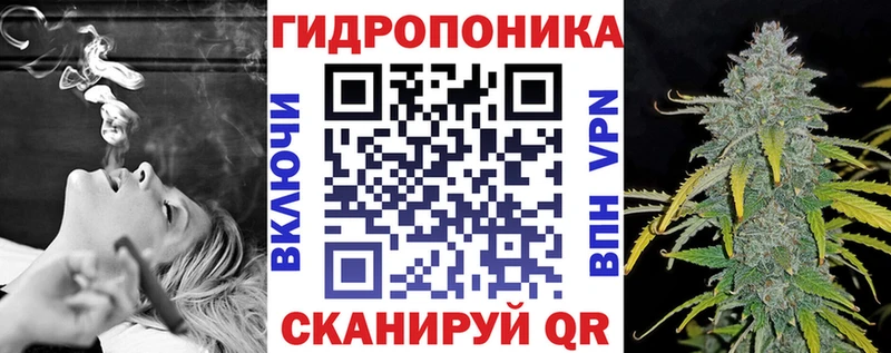 Шишки марихуана марихуана  Галич 